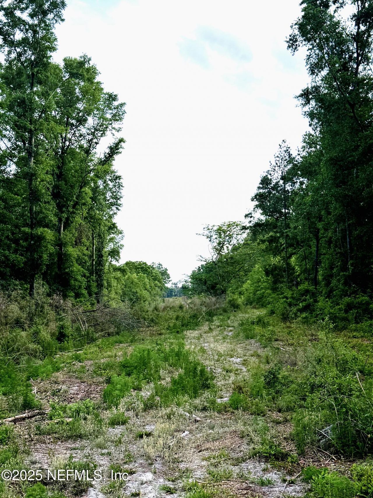 2006 NW Nw Thunder Road, White Springs, FL 32096 Photo
