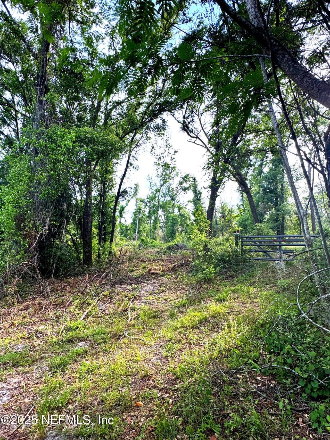 2006 NW Nw Thunder Road, White Springs, FL 32096 Photo