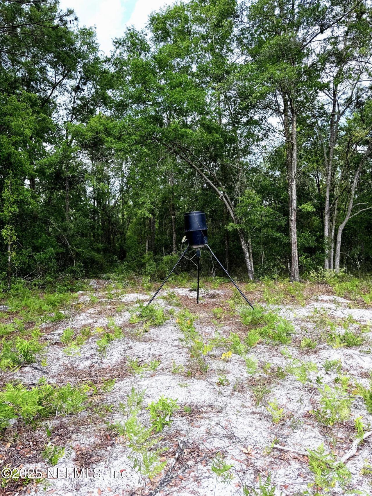 2006 NW Nw Thunder Road, White Springs, FL 32096 Photo