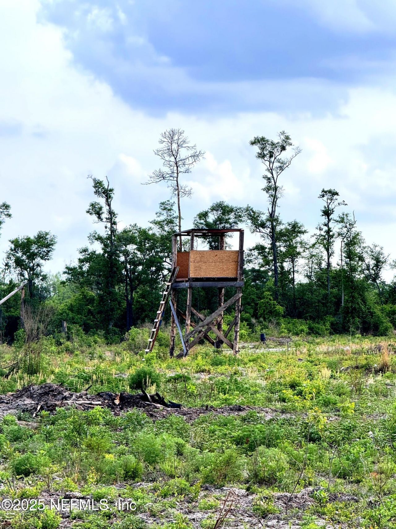 2006 NW Nw Thunder Road, White Springs, FL 32096 Photo