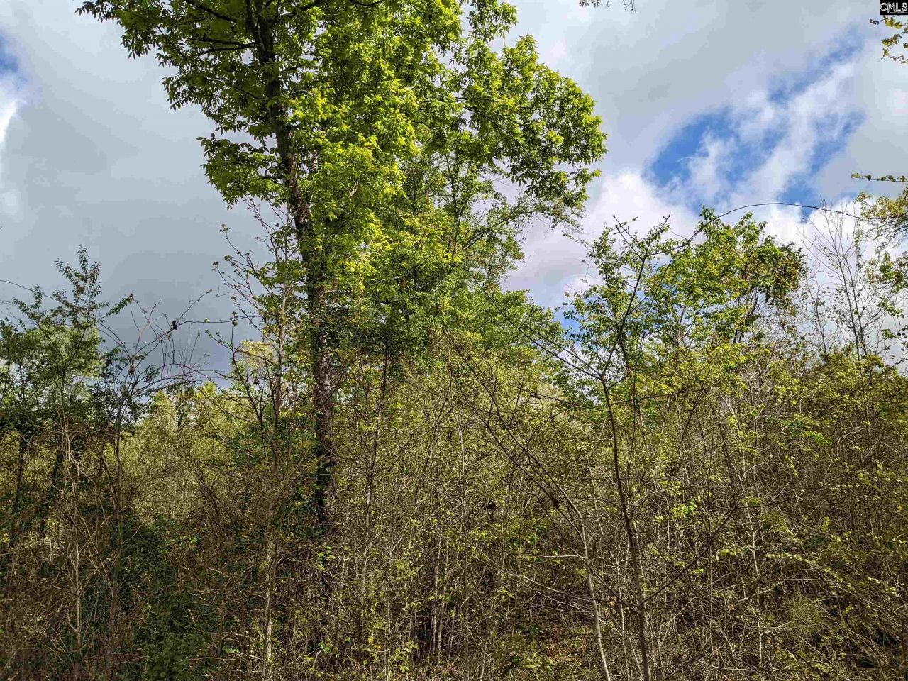 2206 Highway 1 Photo 10