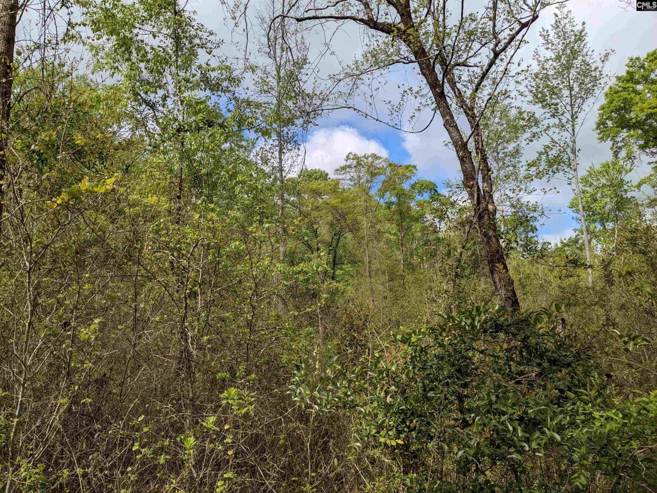 2206 Highway 1 Photo 11