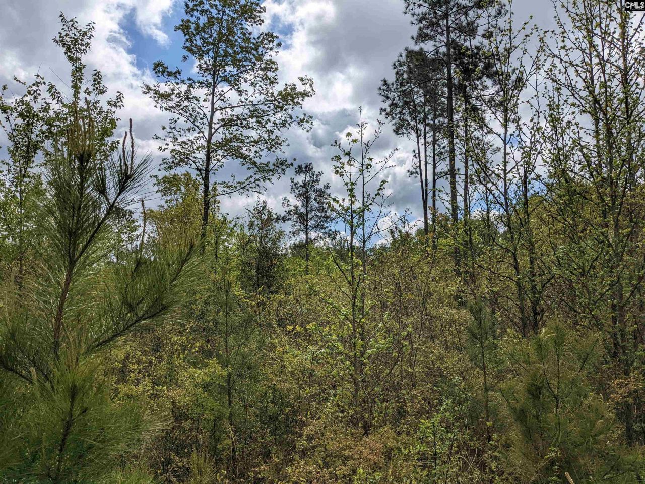 2206 Highway 1 Photo 13