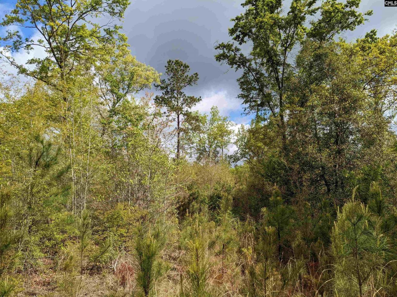 2206 Highway 1 Photo 14