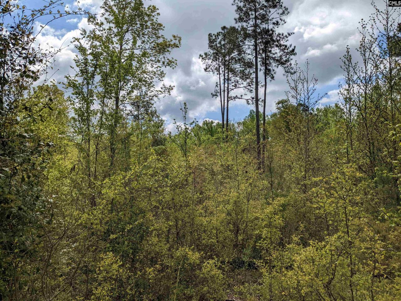 2206 Highway 1 Photo 16