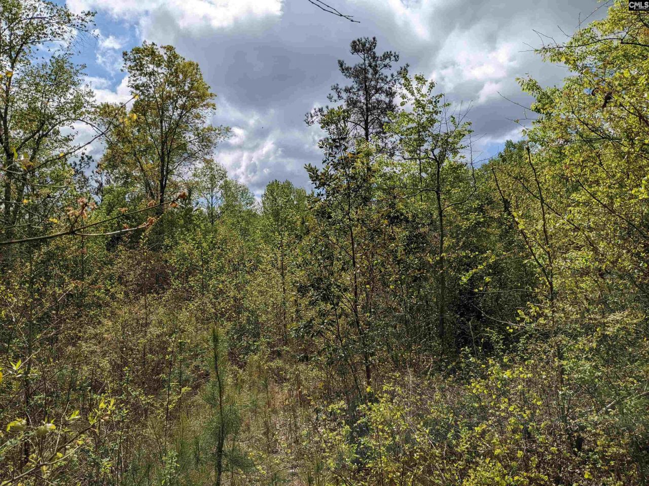 2206 Highway 1 Photo 17