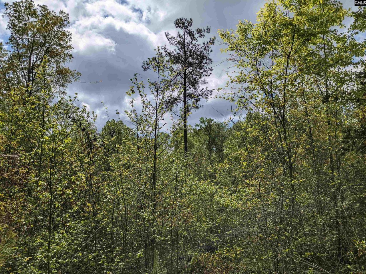 2206 Highway 1 Photo 18