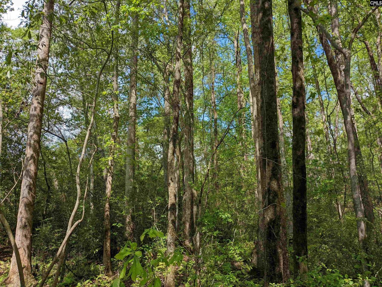 2206 Highway 1 Photo 22