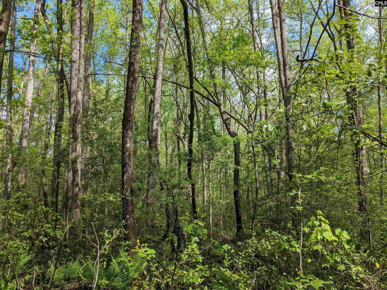 2206 Highway 1 Photo 23