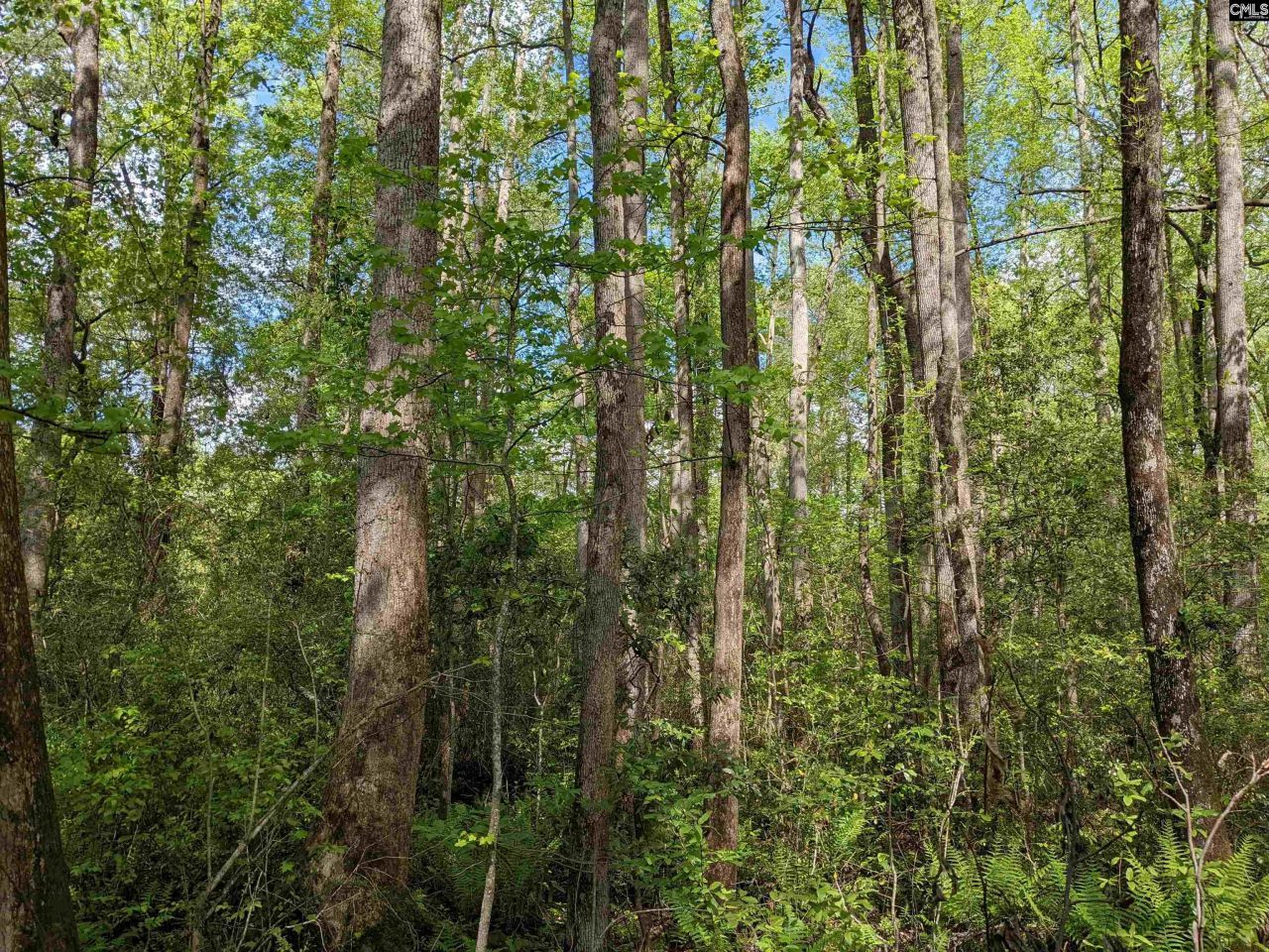 2206 Highway 1 Photo 24