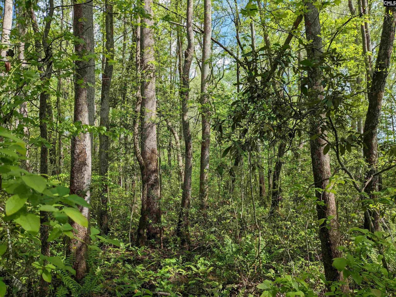 2206 Highway 1 Photo 25