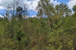 2206 Highway 1 photo 4