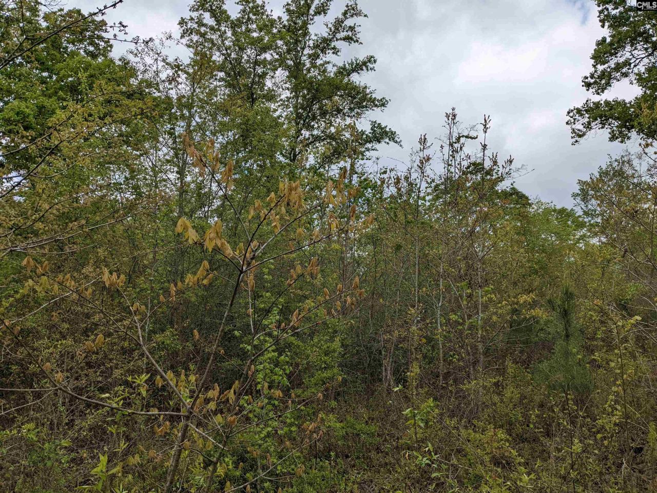 2206 Highway 1 Photo 4