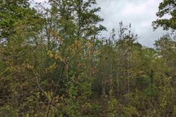 2206 Highway 1 photo 4