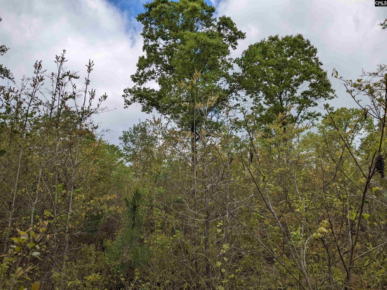 2206 Highway 1 Photo 5