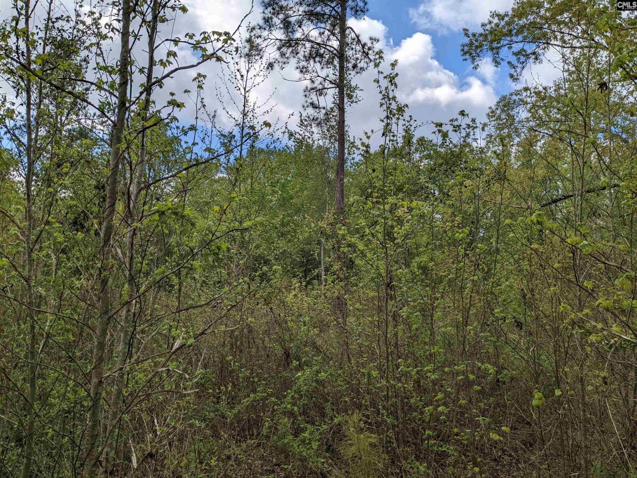 2206 Highway 1 Photo 6