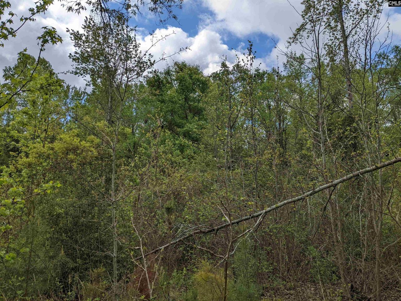 2206 Highway 1 Photo 7