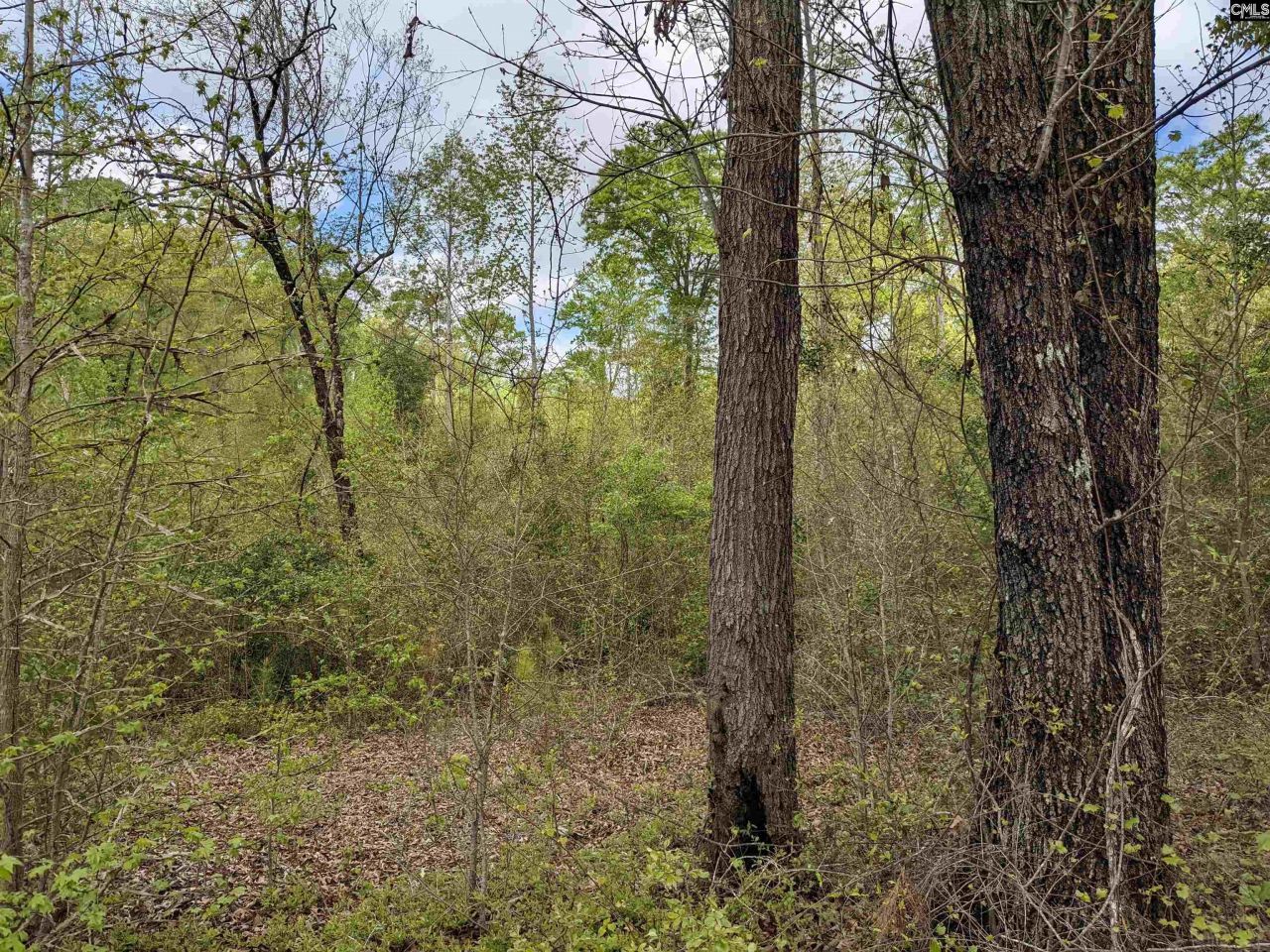 2206 Highway 1 Photo 8