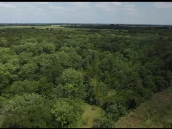 TBD CR 26750, Petty, TX 75470