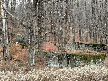 Upper Punchbowl Road, Roscoe, NY 12776