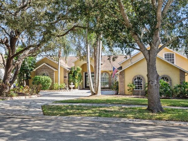 2513 REGAL RIVER ROAD, VALRICO, FL 33596