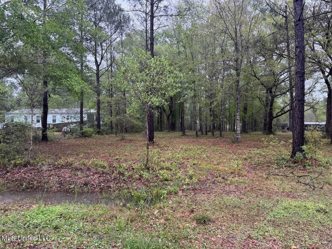 00 Camellia Street, Kiln, MS 39556 Main Photo