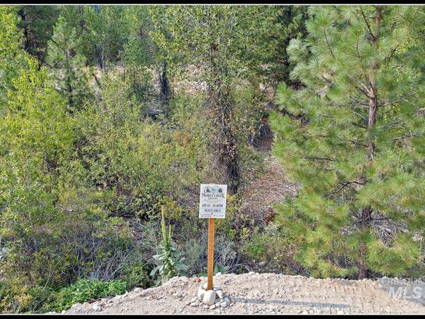 Lot 61 Lily Loop, Idaho City, ID 83631