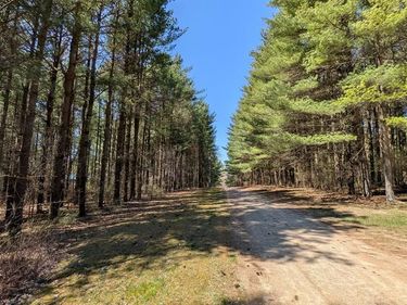 3665 ARIVACA Drive, Millington Twp, MI 48746