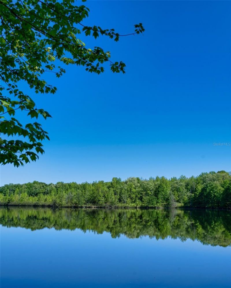 Castle Circle, Alford, FL 32420 Photo