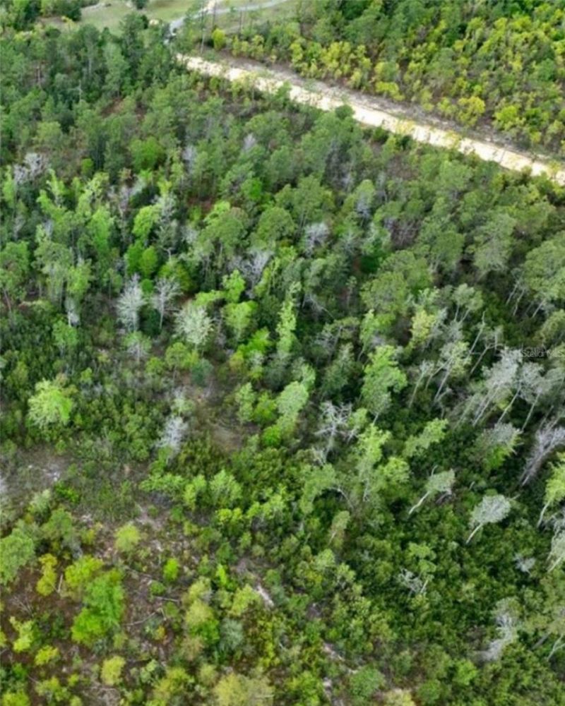 Castle Circle, Alford, FL 32420 Photo