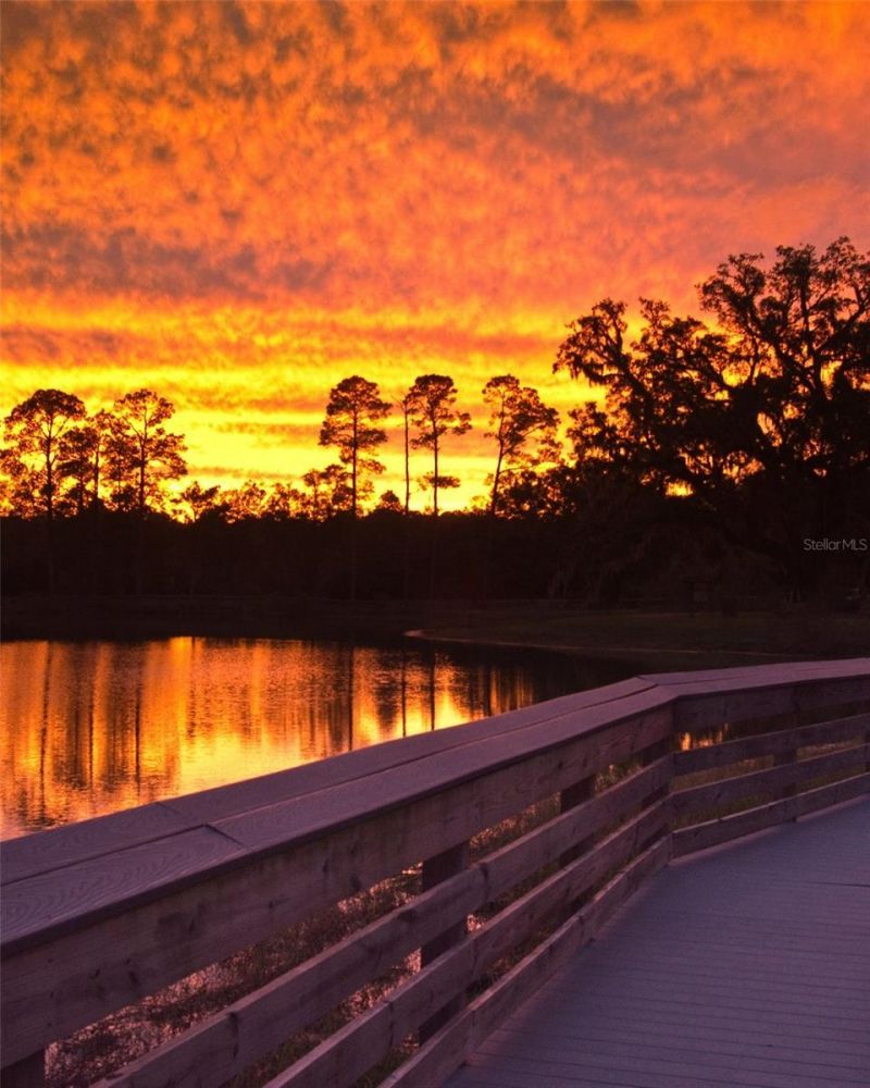 Castle Circle, Alford, FL 32420 Photo