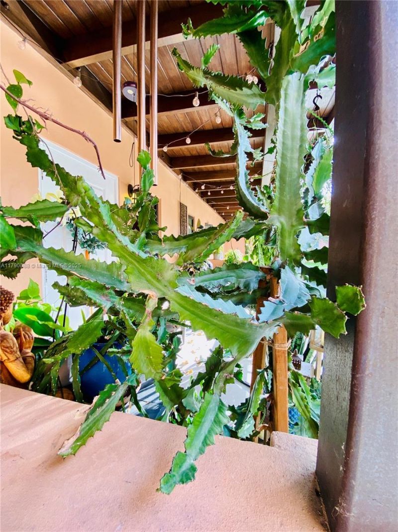 200 Azure Way, Miami Springs, FL 33166 Photo