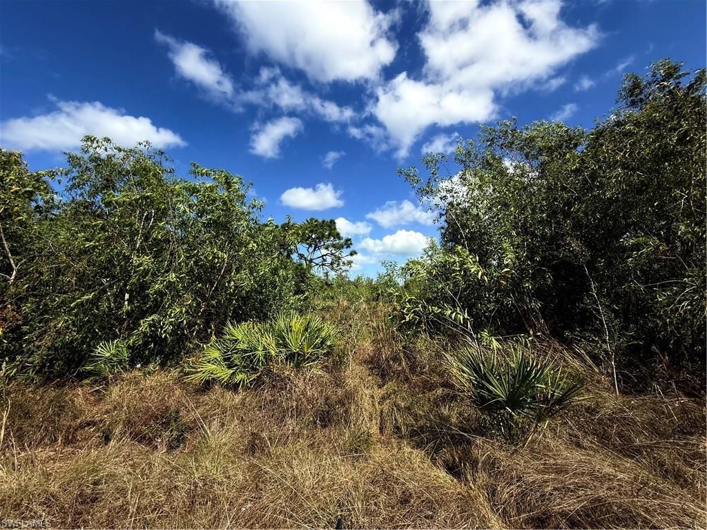 5950 Sandal Ln, Bokeelia, FL 33922 Photo