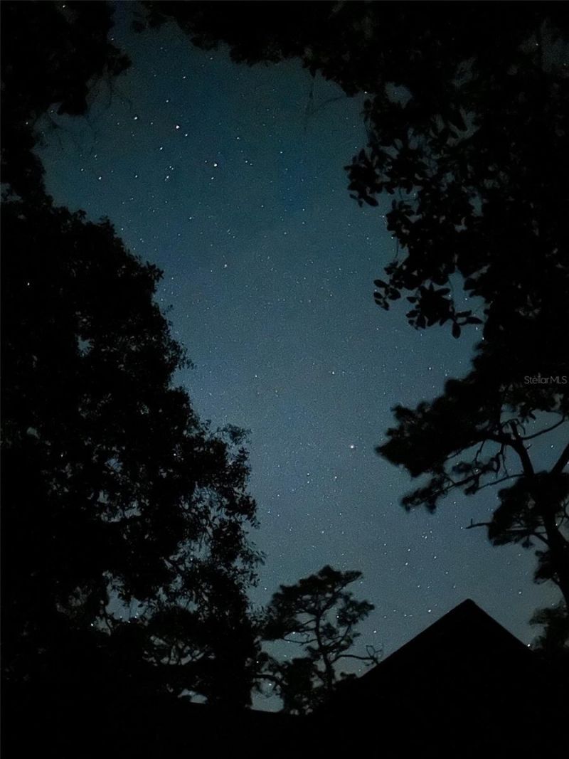 3939 Lake Erie Road, Groveland, FL 34736 Photo