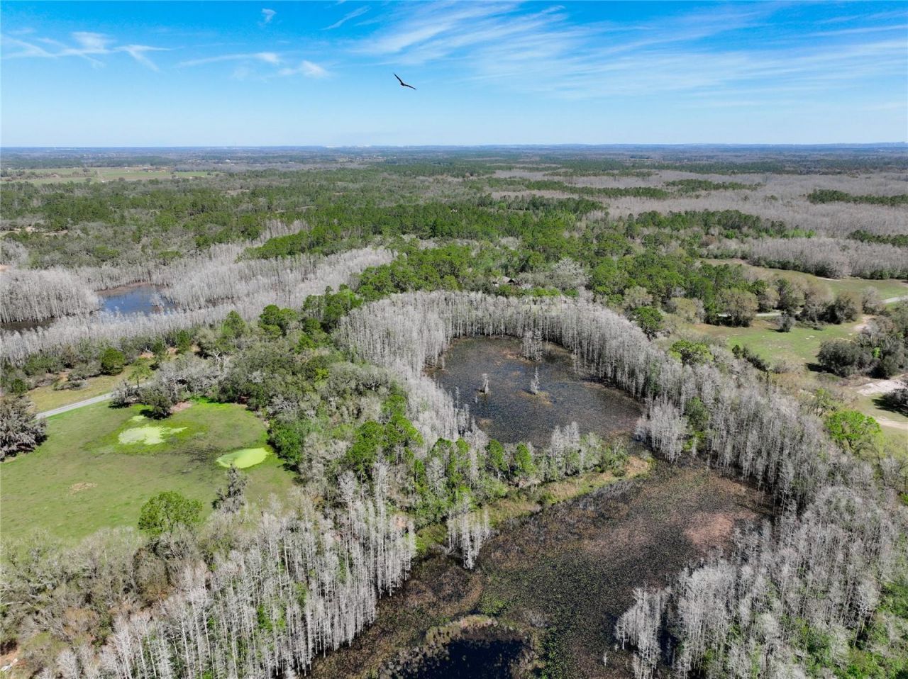 3939 Lake Erie Road, Groveland, FL 34736 Photo