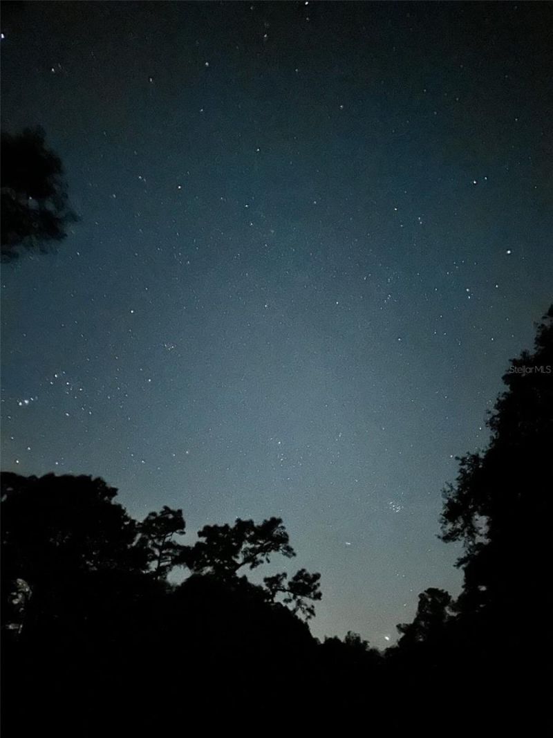 3939 Lake Erie Road, Groveland, FL 34736 Photo