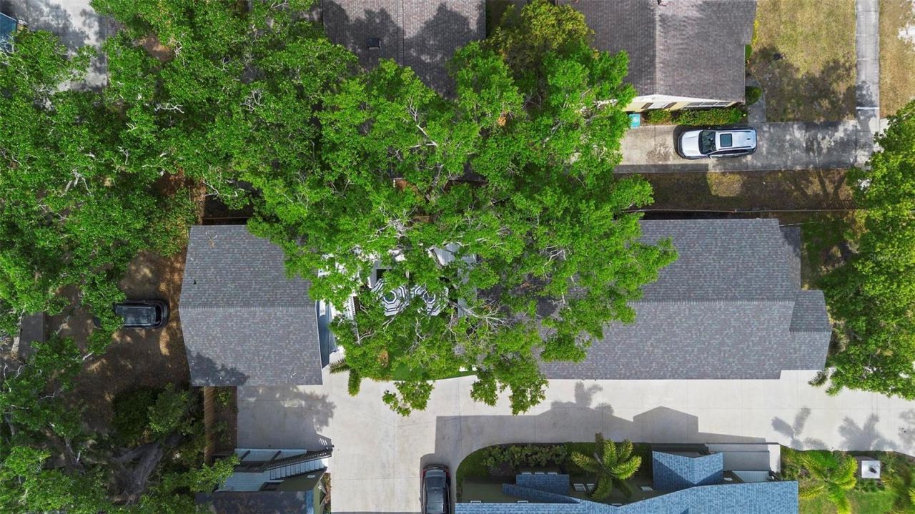 1521 E Harwood Street, Orlando, FL 32803 Photo