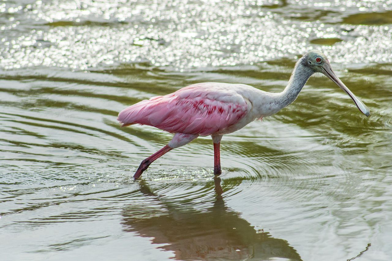 4013 Chantey Crst Photo 18