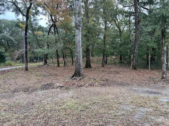 4013 Chantey Crst Photo 7