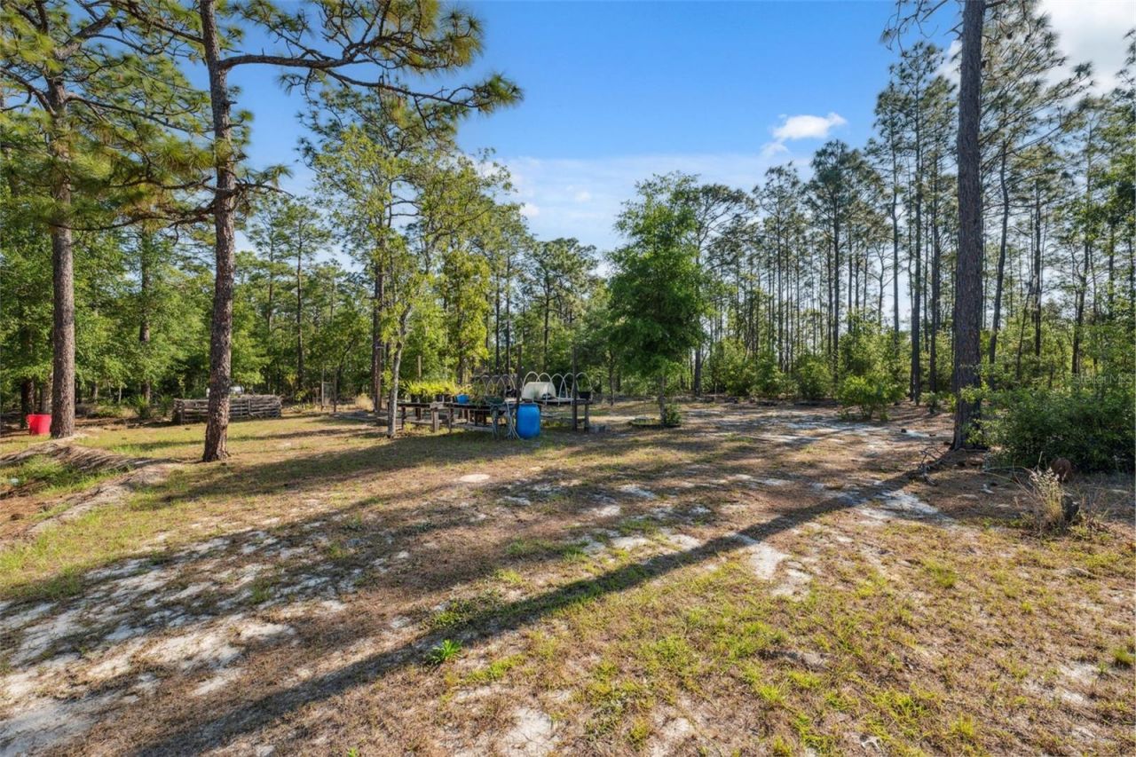 6080 Dexter Lane, Brooksville, FL 34602 Photo