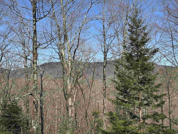 00 Ice Pond Road, Chittenden, VT 05763