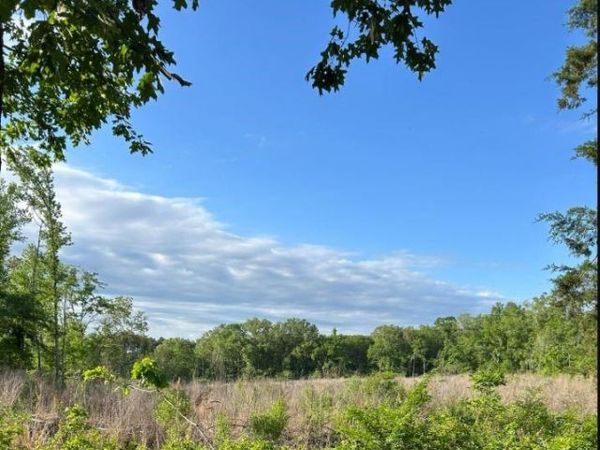 00 Grand Cane Fire Tower Road, Grand Cane, LA 71032
