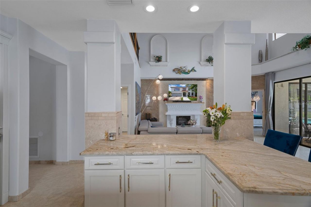 15630 N Himes Avenue, Tampa, FL 33618 Photo