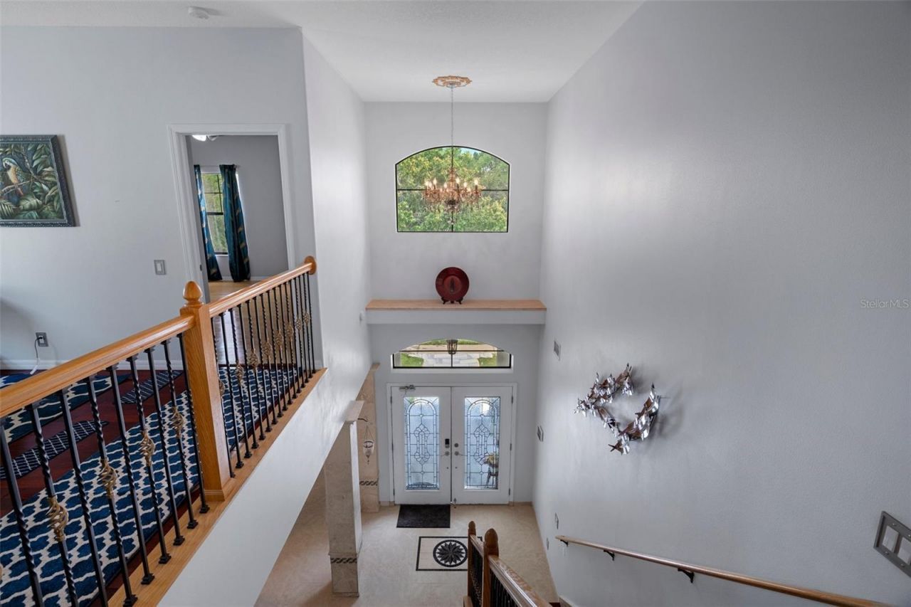 15630 N Himes Avenue, Tampa, FL 33618 Photo