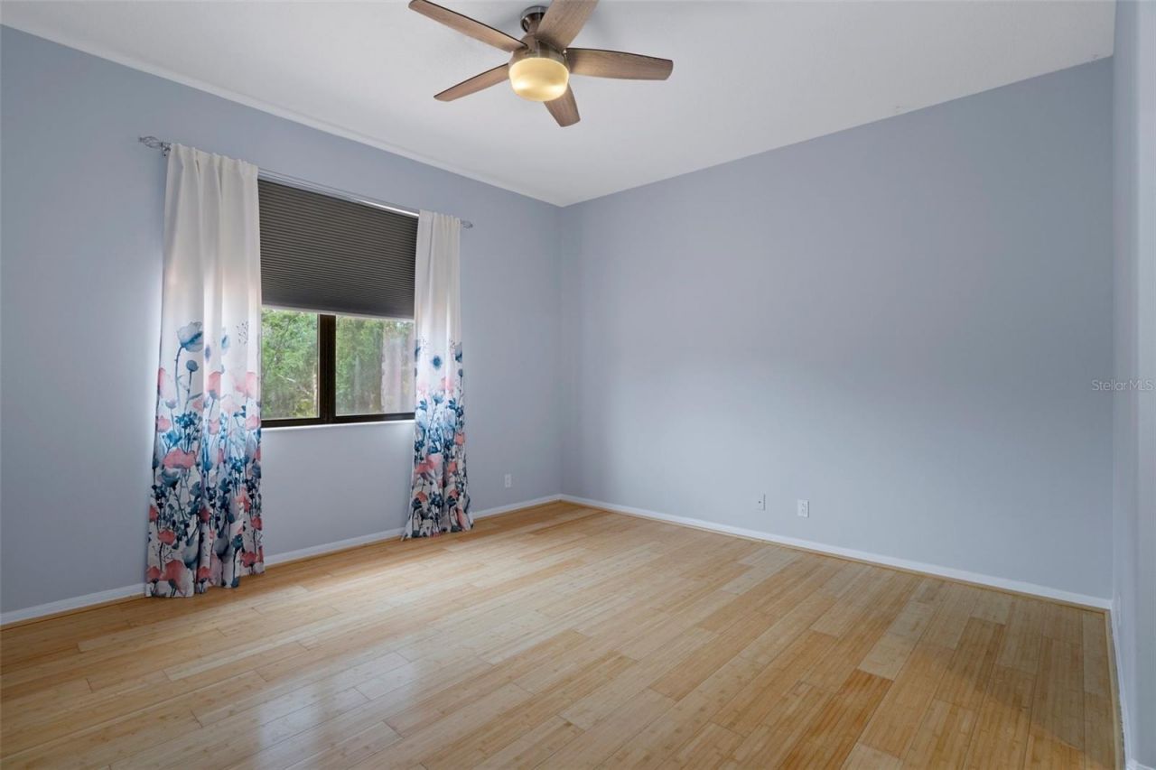 15630 N Himes Avenue, Tampa, FL 33618 Photo