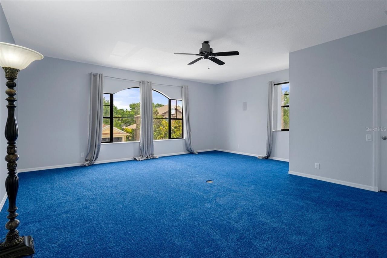 15630 N Himes Avenue, Tampa, FL 33618 Photo