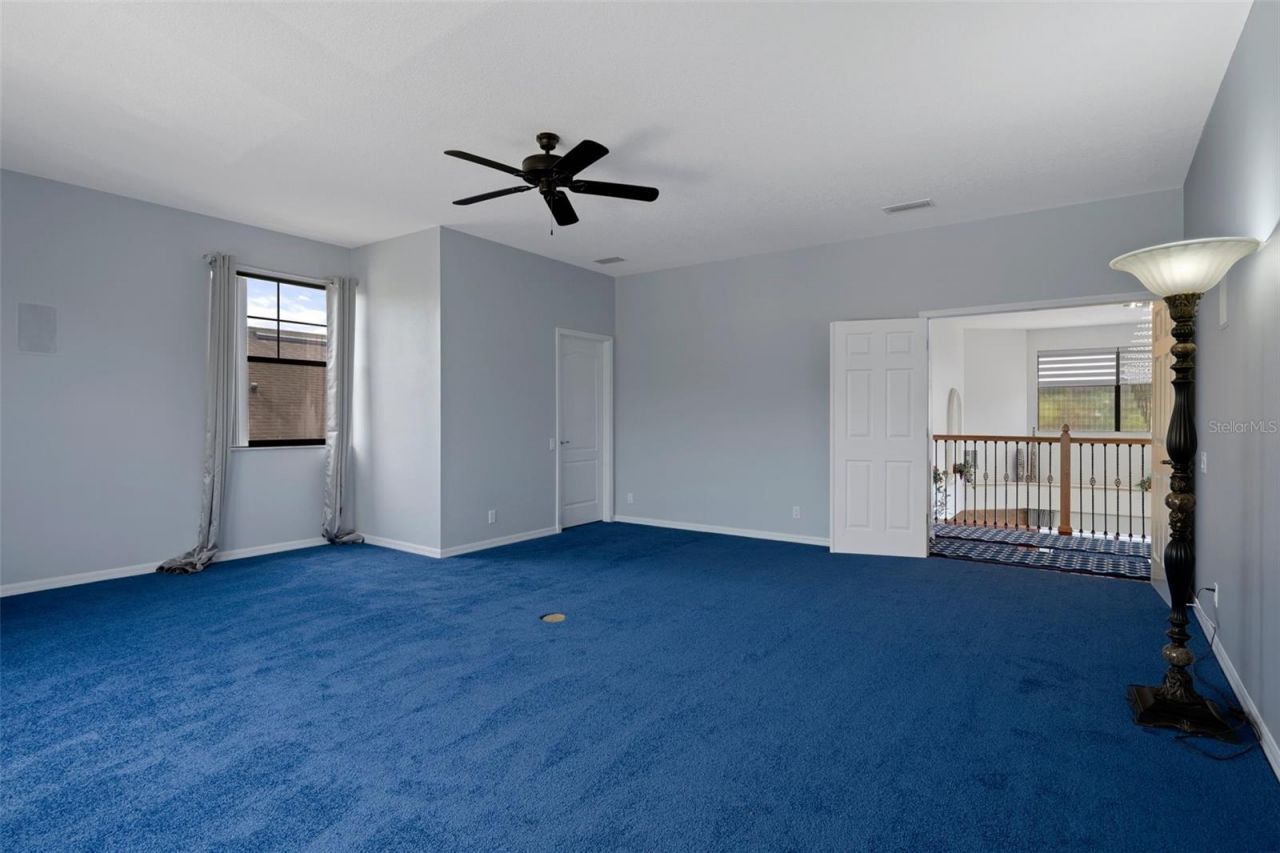 15630 N Himes Avenue, Tampa, FL 33618 Photo