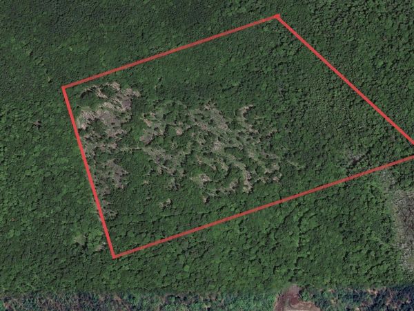 M1 L9-1 Off Ames Road Road, Cornville, ME 04976