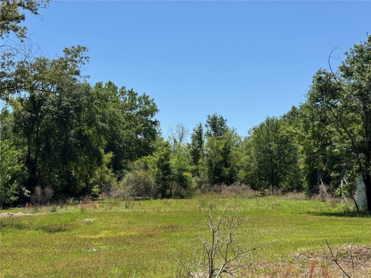 15130 N 104th Street, Live Oak, FL 32060 Photo