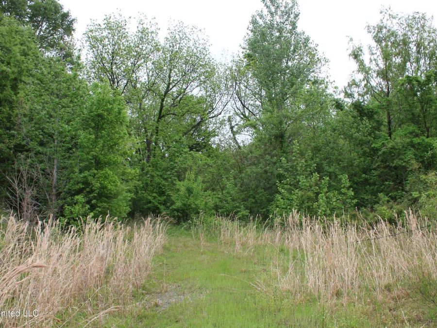 Property Image 48